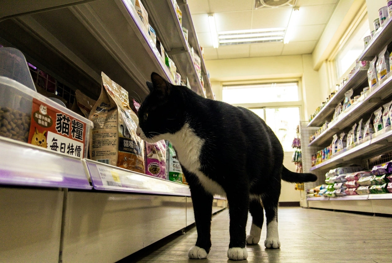 貓狗每日需要的飼料克數?以及熱量來源?