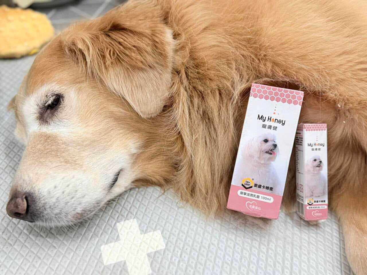 【黃金。Gｏlｄeｎ】🐾 麥盧卡蜂蜜護腳霜滋潤體驗