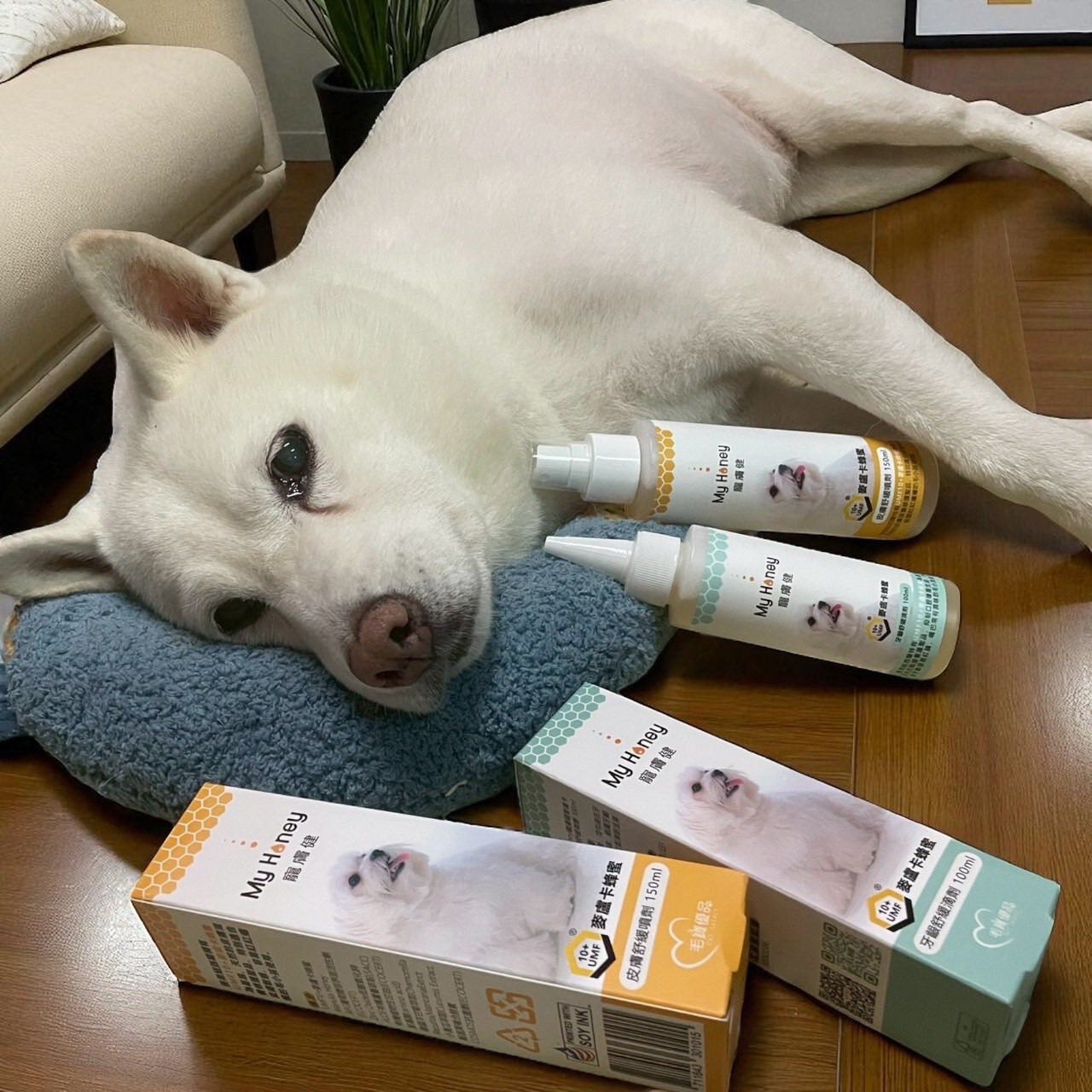 【柴柴愛吃三寶飯】🦷 口腔×皮膚MIT護理用品開箱