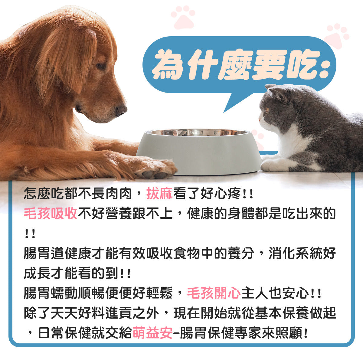 毛寶優品PetSelect 萌益安-犬貓腸胃保健食品瓶身特寫，包裝上強調改善軟便、嘔吐、守護腸道健康的字樣，背景為活潑的貓狗圖案。