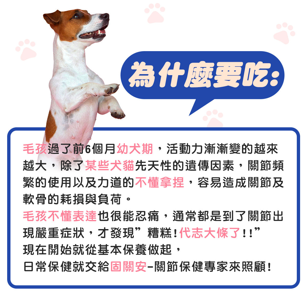 毛寶優品Petselect 固關安犬貓關節保健食品，產品包裝與健康活潑的狗狗貓咪，象徵強健關節、良好行動力。