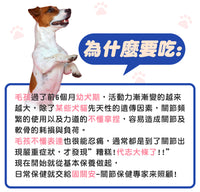毛寶優品Petselect 固關安犬貓關節保健食品，產品包裝與健康活潑的狗狗貓咪，象徵強健關節、良好行動力。