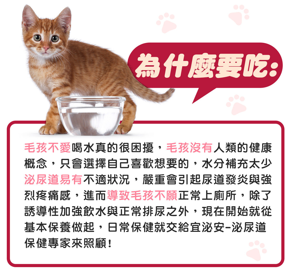 宜泌安犬貓泌尿道保健食品包裝，呈現毛寶優品PetSelect品牌與泌尿護理功效，讓愛寵遠離頻尿、尿血困擾。